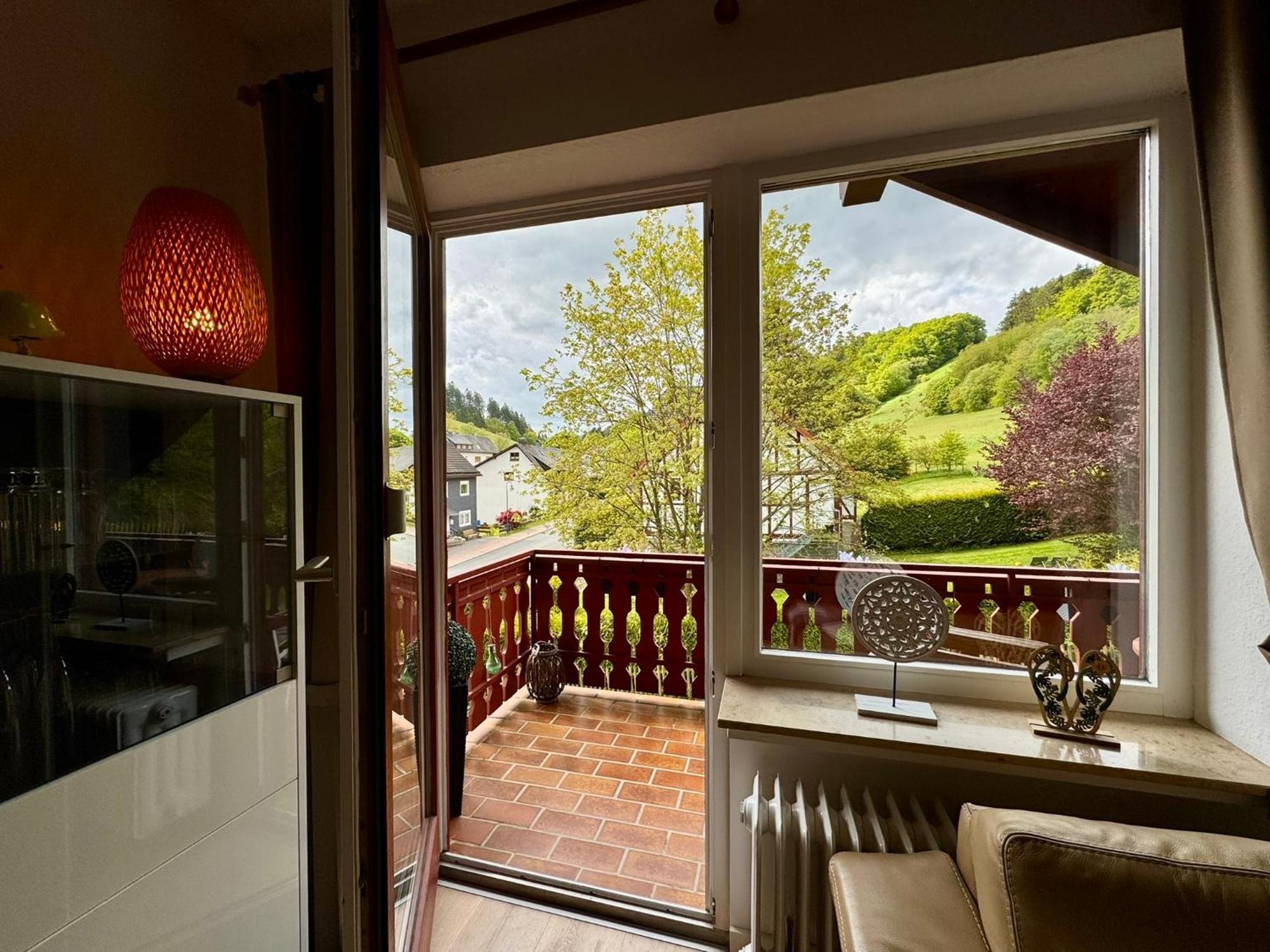 Ferienwohnung Sonnentraum - Appartement 5 Willingen Willingen  Exterior photo